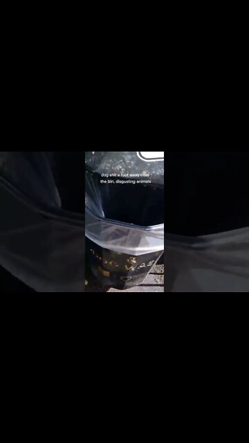 When did hoomans turn into animals 🤔 #Shorts #dogs #dogpoop