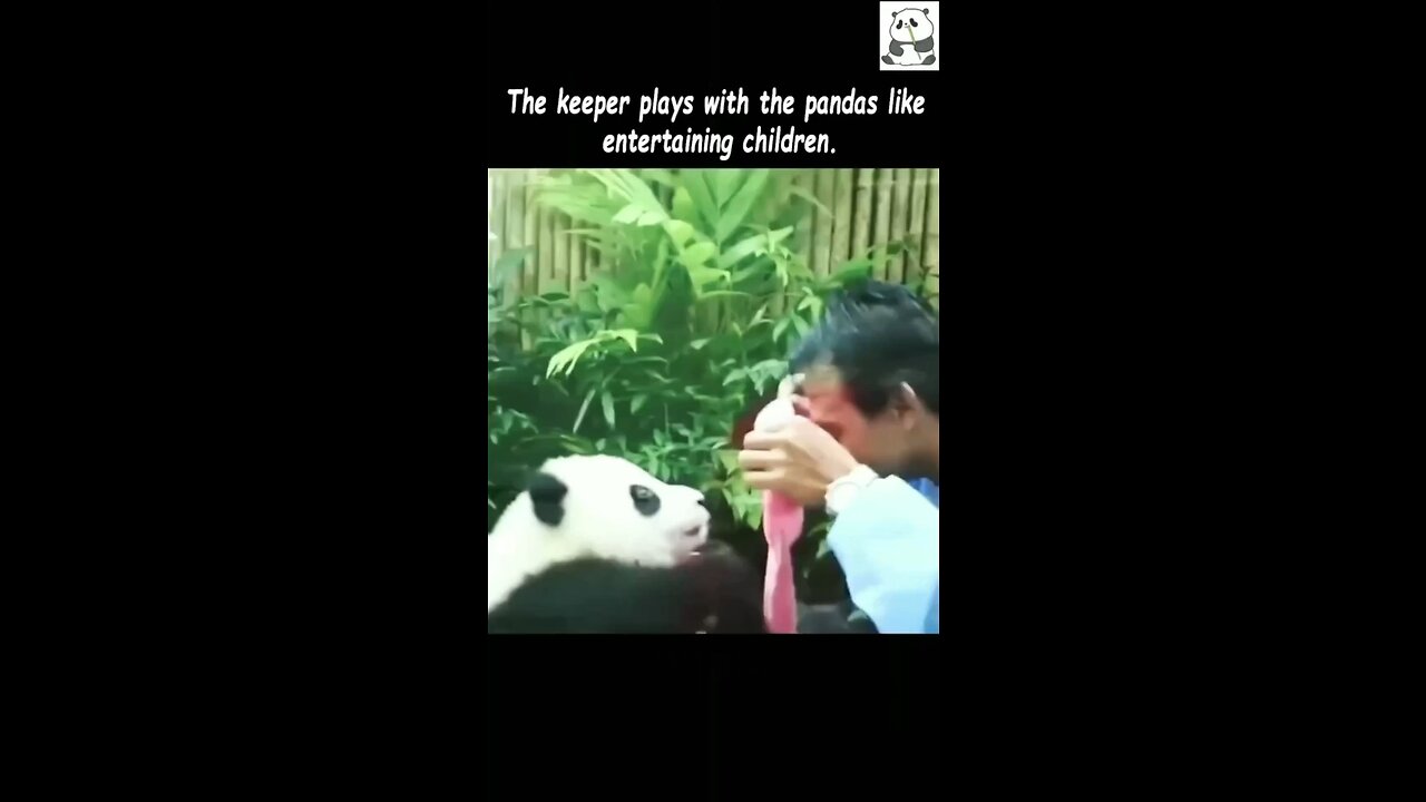 Funny Videos #funny