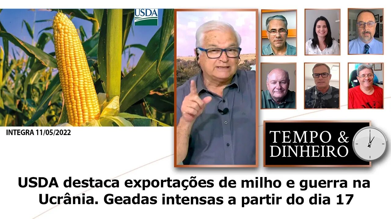 USDA destaca exportações de milho e guerra na Ucrânia. Geadas intensas a partir do dia 17