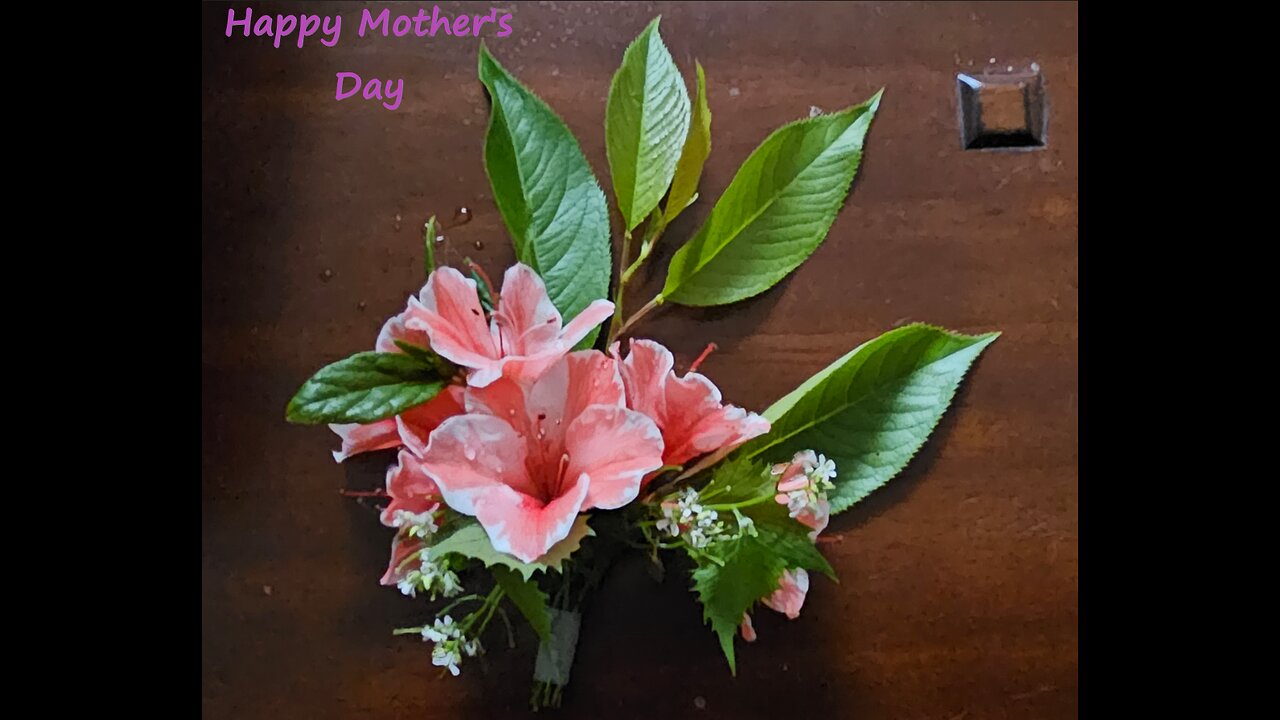 Happy Mother's Day