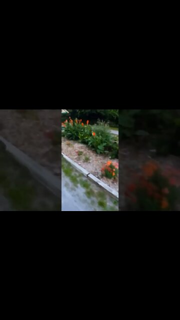 don't run from the lord