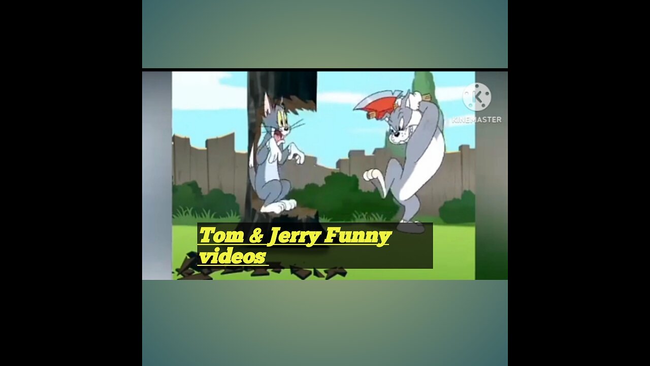 Tom & Jerry funny moment video