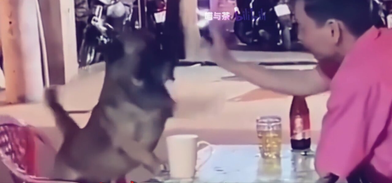yell!!!!