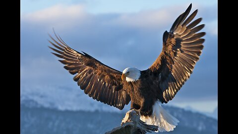 “Eagles Fly With Eagles” - Pastor Bristol Smith