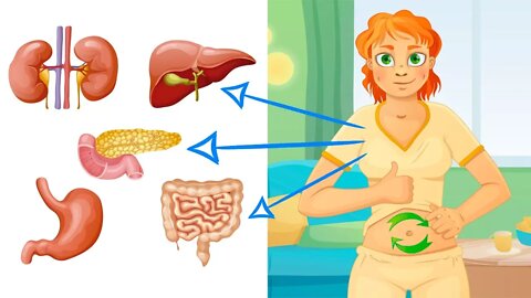 How to Detox Your Organs For a Complete Body Cleanse