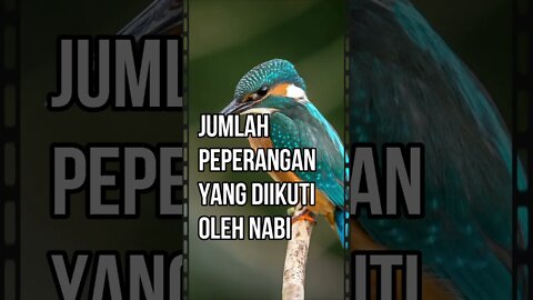 Jumlah peperangan yang diikuti oleh Nabi