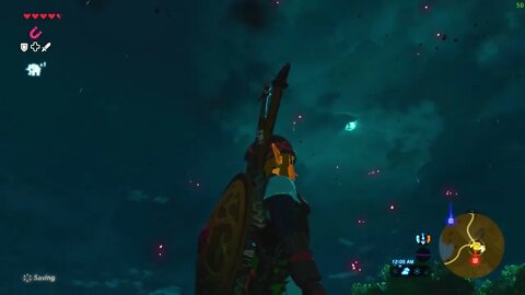 The Legend of Zelda Breath of the Wild 2022 08 08 1