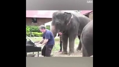 This Made My Heart Soar