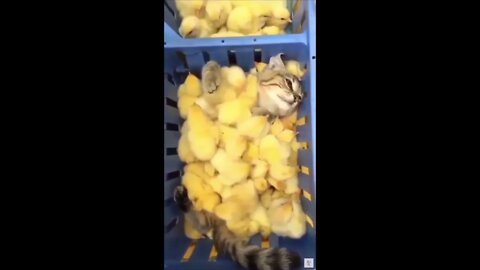He Doesn’t Know How to Feel