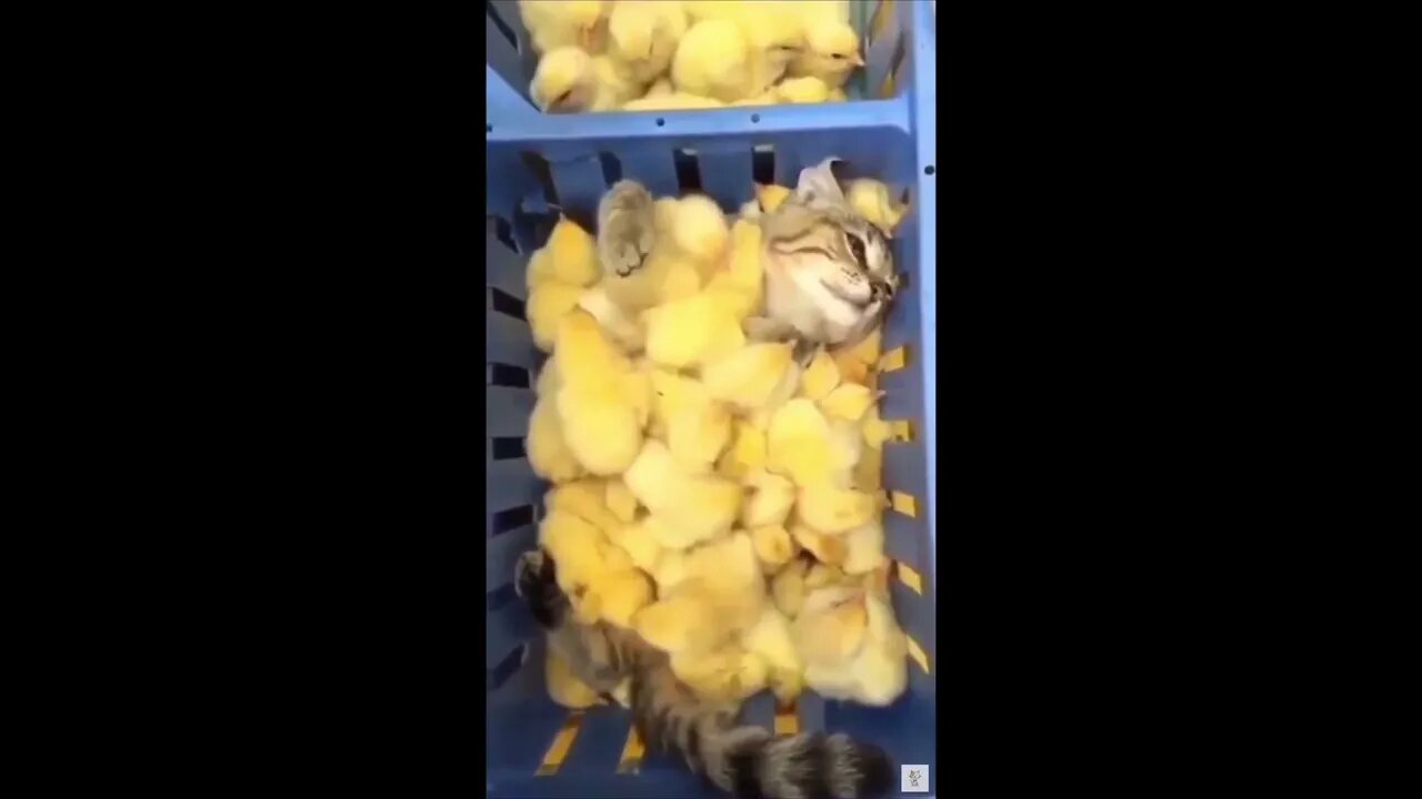He Doesn’t Know How to Feel
