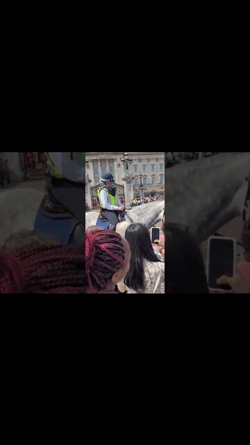 police horse getting attention outside buckingham palace #buckinghampalace