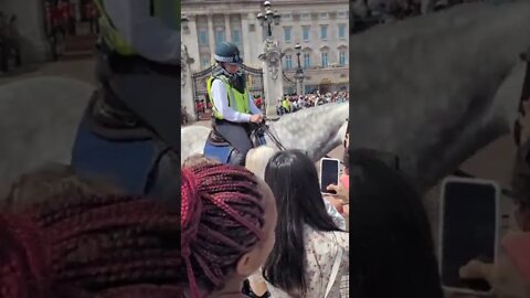police horse getting attention outside buckingham palace #buckinghampalace