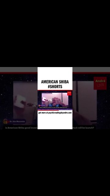 American Shiba #shorts