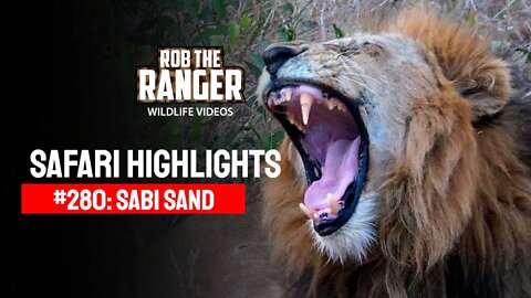 Safari Highlights #280: 09 - 13 July 2014 | Sabi Sand Nature Reserve | Latest Wildlife Sightings