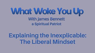 Explaining the Inexplicable: The Liberal Mindset