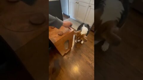 Wait for it 😅