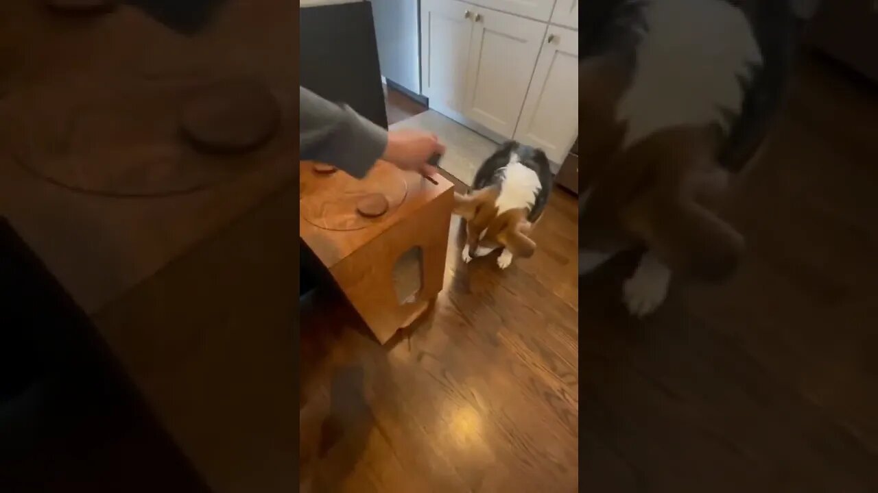 Wait for it 😅