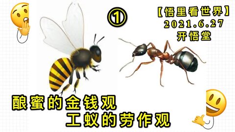 KWT1991(1)酿蜜的金钱观，工蚁的劳作观20210627-1【悟里看世界】