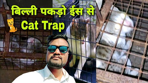 cat trap | बिल्ली पकड़ने का पिंजरा | billi pakdane ka pinjra | #cattrap #cat शिकारी बिल्ली को कैसे