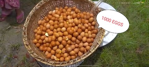 Taro Root _ Eggs Gravy Recipe - 100 KG Kochu _ 500 Eggs Mixed Curry Cooking for Villagers