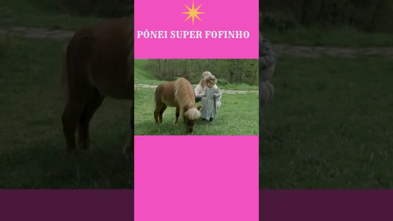 PÓNEI SUPER FOFINHO