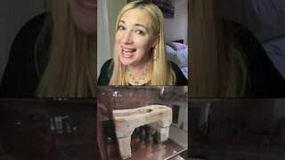 The Stinky History of the Toilet! #shorts