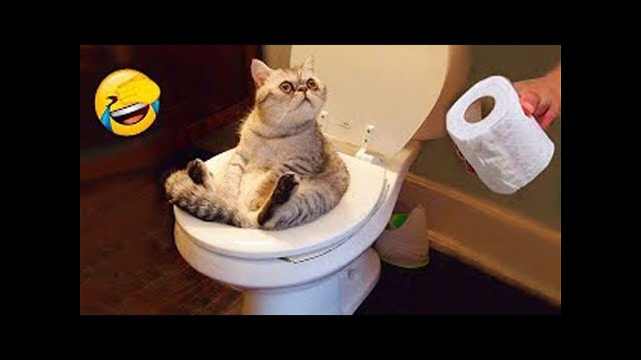 New Funny Animals Video 2023 | Funniest Cats and Dogs Videos | New Funny Video Of Cat And Dogs