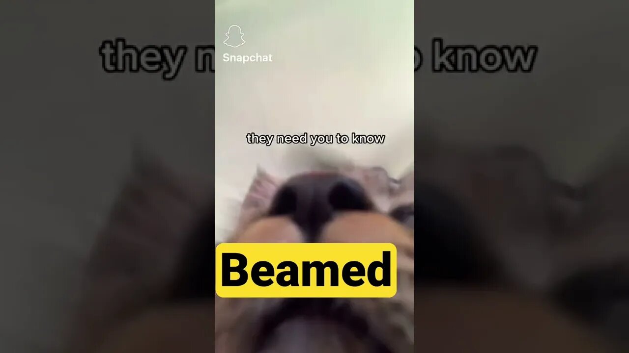 There was light¡