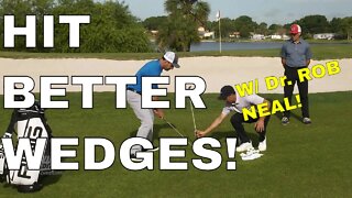 3 WEDGE MYTHS BUSTED with Dr. Rob Neal. Be Better Golf ⛳️