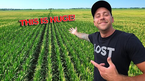 HUGE WIN! This Corn Field Might Make Us Millions! Best Investment So Far!