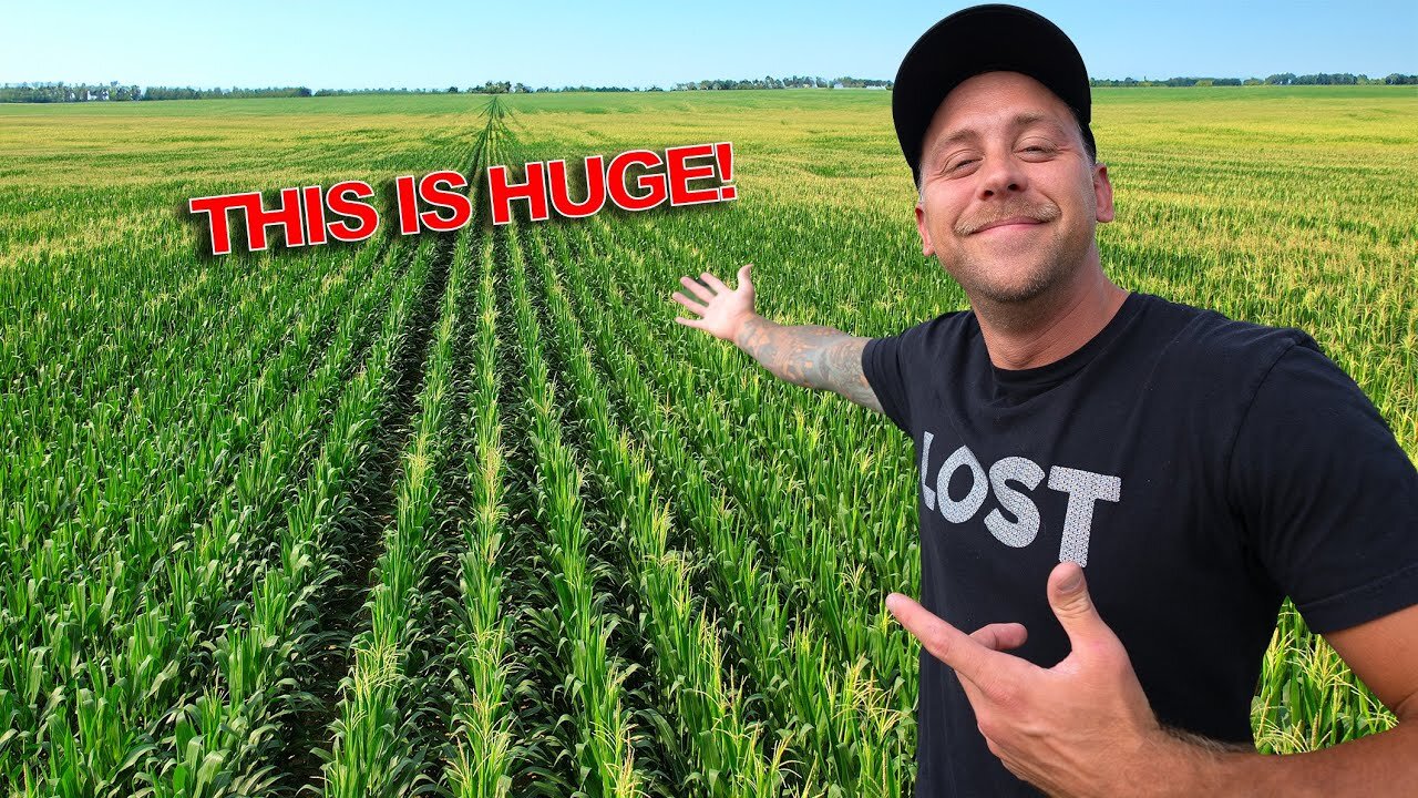 HUGE WIN! This Corn Field Might Make Us Millions! Best Investment So Far!