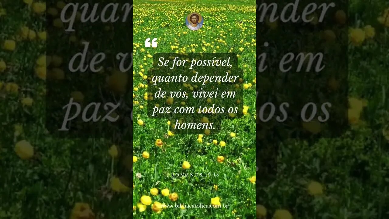 Romanos 12,18 - Se for possível, quanto depender de vós, vivei em paz com todos os homens.