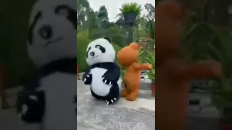 கொழுப்பெடுத்த பாண்டா