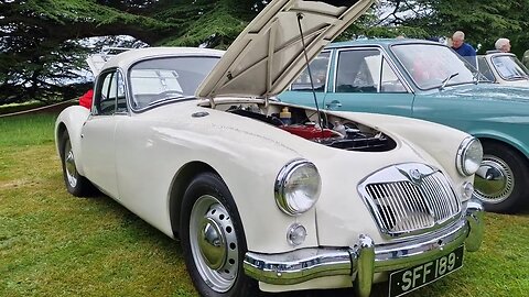 beautiful old race car