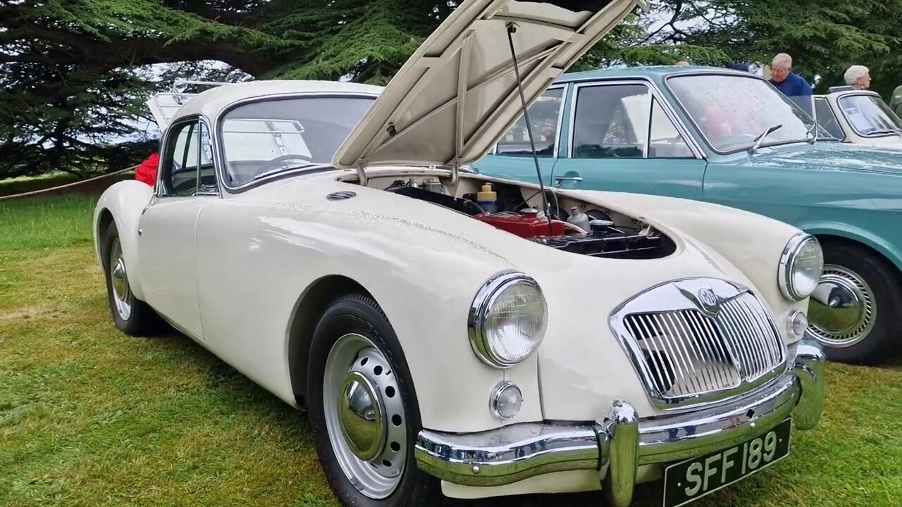 beautiful old race car