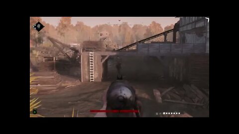 Hunt: Showdown Pt.28