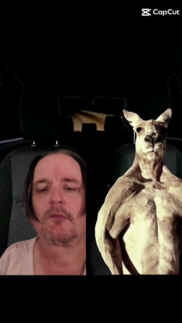 Sometimes you gotta chill with your emotional support kangaroo.