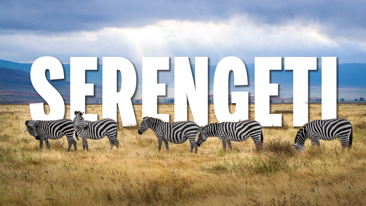 SERENGETI Is Inviting YOU, Start Here | Travel Video