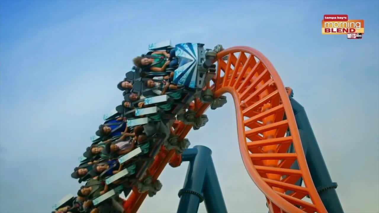 New Ride at SeaWorld | Morning Blend