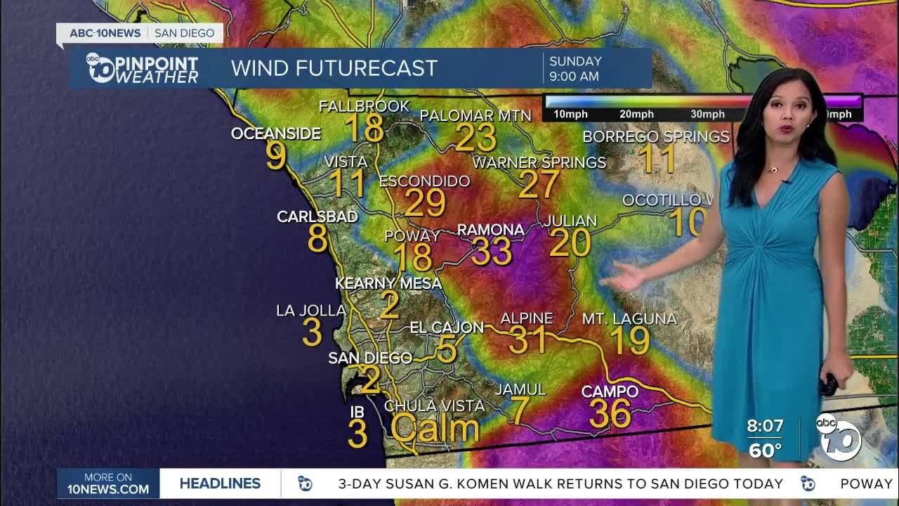 ABC 10News Pinpoint Weather for Sat. Nov. 20, 2021