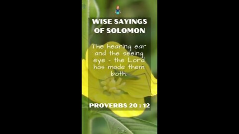 Proverbs 20.12 | NRSV Bible - Wise Sayings of Solomon