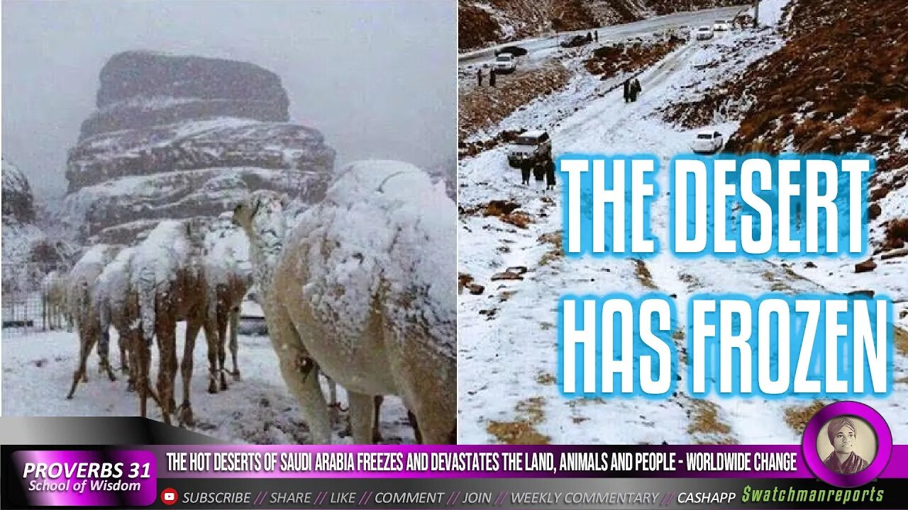The hot deserts of Saudi Arabia freezes & devastates the land, animals and people - Worldwide change