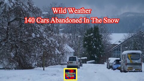 Wild weather: 'I counted over 140 cars abandoned in the snow'