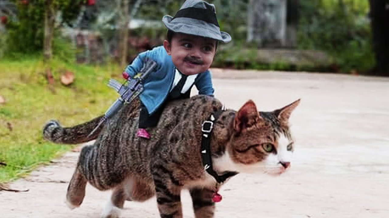 Adorable Babies Playing with Cats