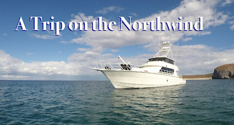 A Trip on the Northwind