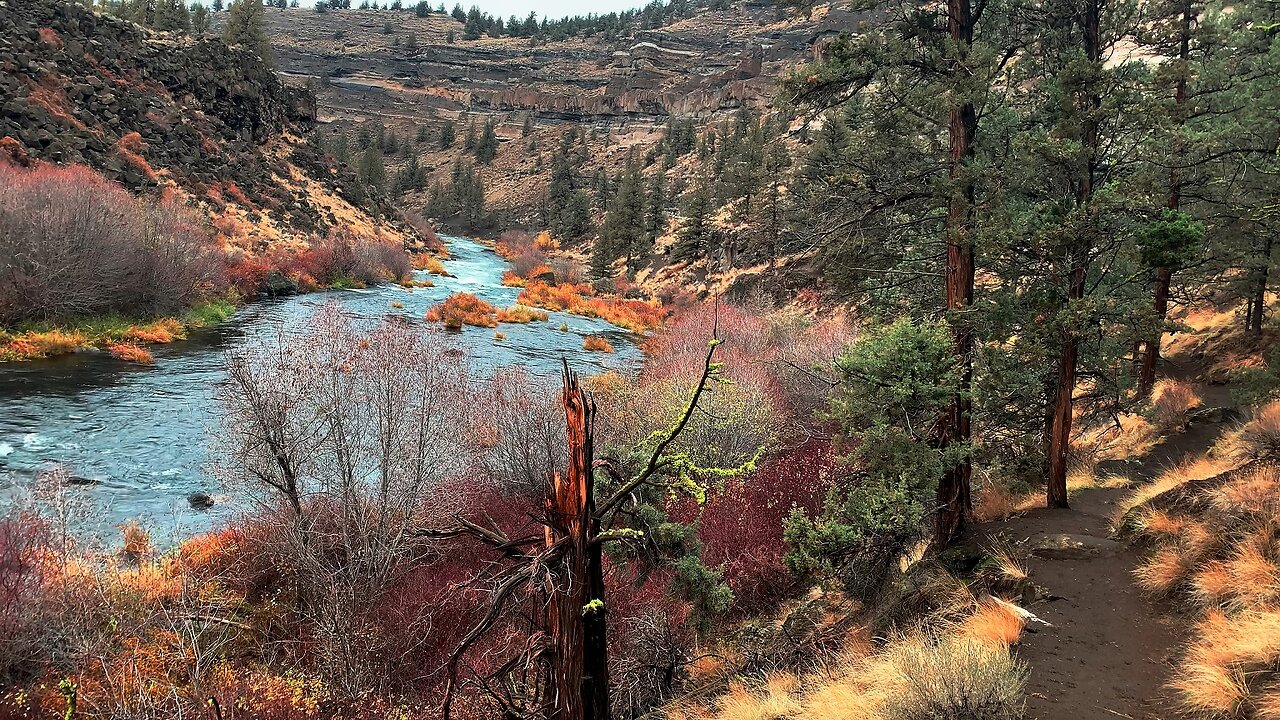 4K HIGHLIGHTS of EPIC Steelhead Falls Wilderness Area & Deschutes River in AUTUMN FALL COLORS 4K!