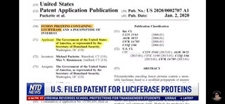 Luciferase - THE MARK