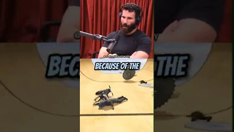 DAN BLIZERIAN ON HAVING ADD