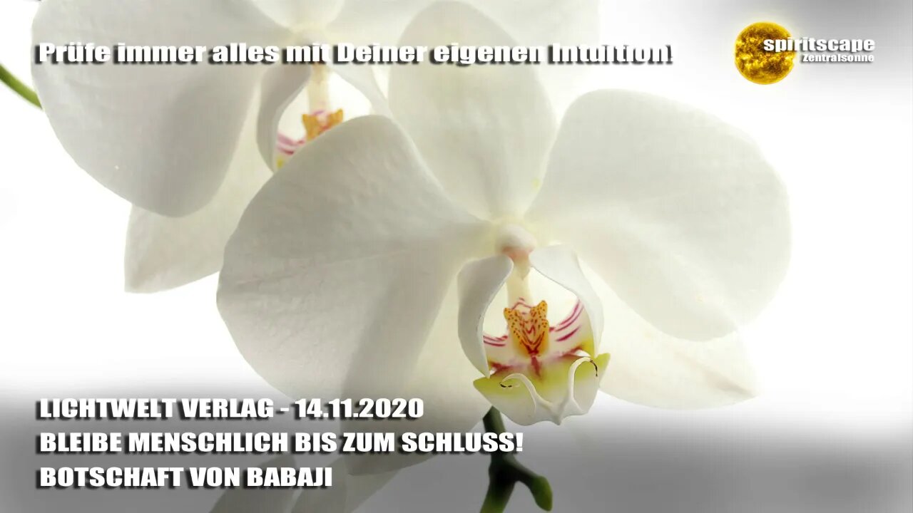 BLEIBE MENSCHLICH BIS ZUM SCHLUSS! - BOTSCHAFT VON BABAJI - LWV