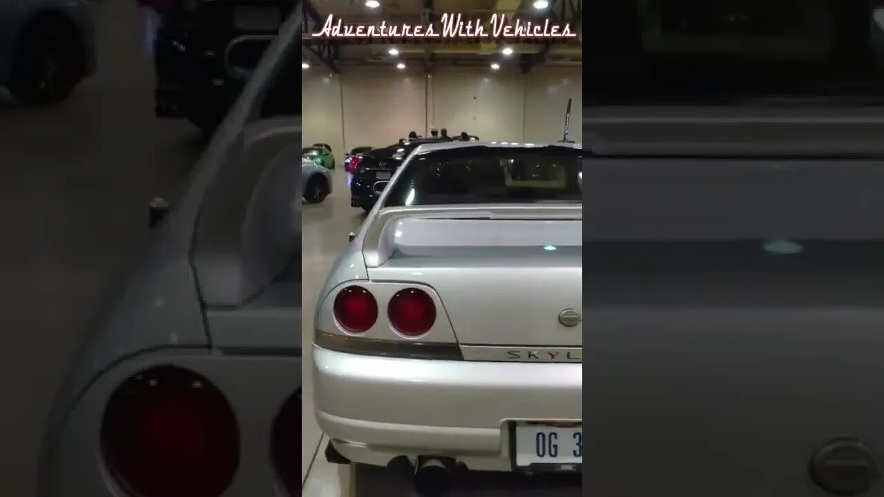 R32 Skyline & R33 Skyline